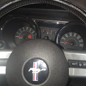 Meet your Posher, Joey